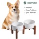 Havniva Ceramic 18.5 cm Raised Double Dog Bowls Set with Acacia Wood Stand, Food & Water Bowls for Medium Breeds Dogs, Weighted Pet Dishes (1300 ml, Arctic White) Havniva Ceramic 18.5 cm Raised Double Dog Bowls Set with Acacia Wood Stand, Food & Water Bowls for Medium Breeds Dogs, Weighted Pet Dishes (1300 ml, Arctic White)