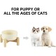 Havniva Ceramic 7.3inch Raised Double Bowls Set with Wooden Stand, Food & Water Bowls for Medium Breed Dogs, Weighted Dog Dishes, Pet Feeder( Light Green) Havniva Ceramic 7.3inch Raised Double Bowls Set with Wooden Stand, Food & Water Bowls for Medium Breed Dogs, Weighted Dog Dishes, Pet Feeder( Light Green)