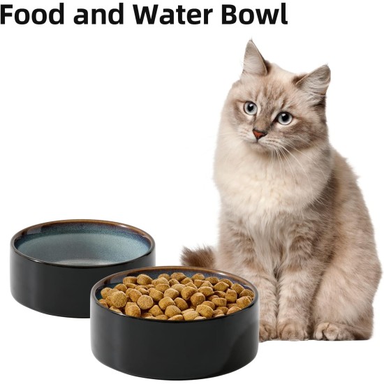 Havniva Ceramic 7.3inch Raised Double Bowls Set with Wooden Stand, Food & Water Bowls for Medium Breed Dogs, Weighted Dog Dishes, Pet Feeder( Light Green) Havniva Ceramic 7.3inch Raised Double Bowls Set with Wooden Stand, Food & Water Bowls for Medium Breed Dogs, Weighted Dog Dishes, Pet Feeder( Light Green)