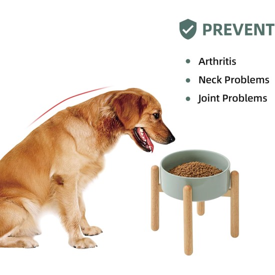 Havniva Ceramic 7.3inch Raised Double Bowls Set with Wooden Stand, Food & Water Bowls for Medium Breed Dogs, Weighted Dog Dishes, Pet Feeder( Light Green) Havniva Ceramic 7.3inch Raised Double Bowls Set with Wooden Stand, Food & Water Bowls for Medium Breed Dogs, Weighted Dog Dishes, Pet Feeder( Light Green)