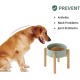 Havniva Ceramic 7.3inch Raised Double Bowls Set with Wooden Stand, Food & Water Bowls for Medium Breed Dogs, Weighted Dog Dishes, Pet Feeder( Light Green) Havniva Ceramic 7.3inch Raised Double Bowls Set with Wooden Stand, Food & Water Bowls for Medium Breed Dogs, Weighted Dog Dishes, Pet Feeder( Light Green)