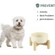 Havniva Ceramic 7.3inch Raised Double Bowls Set with Wooden Stand, Food & Water Bowls for Medium Breed Dogs, Weighted Dog Dishes, Pet Feeder( Light Green) Havniva Ceramic 7.3inch Raised Double Bowls Set with Wooden Stand, Food & Water Bowls for Medium Breed Dogs, Weighted Dog Dishes, Pet Feeder( Light Green)