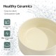 Havniva Ceramic 7.3inch Raised Double Bowls Set with Wooden Stand, Food & Water Bowls for Medium Breed Dogs, Weighted Dog Dishes, Pet Feeder( Light Green) Havniva Ceramic 7.3inch Raised Double Bowls Set with Wooden Stand, Food & Water Bowls for Medium Breed Dogs, Weighted Dog Dishes, Pet Feeder( Light Green)