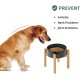 Havniva Ceramic 7.3inch Raised Double Bowls Set with Wooden Stand, Food & Water Bowls for Medium Breed Dogs, Weighted Dog Dishes, Pet Feeder( Light Green) Havniva Ceramic 7.3inch Raised Double Bowls Set with Wooden Stand, Food & Water Bowls for Medium Breed Dogs, Weighted Dog Dishes, Pet Feeder( Light Green)