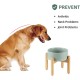 Havniva Ceramic 7.3inch Raised Double Bowls Set with Wooden Stand, Food & Water Bowls for Medium Breed Dogs, Weighted Dog Dishes, Pet Feeder( Light Green) Havniva Ceramic 7.3inch Raised Double Bowls Set with Wooden Stand, Food & Water Bowls for Medium Breed Dogs, Weighted Dog Dishes, Pet Feeder( Light Green)