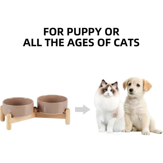Havniva Ceramic 7.3inch Raised Double Bowls Set with Wooden Stand, Food & Water Bowls for Medium Breed Dogs, Weighted Dog Dishes, Pet Feeder( Light Green) Havniva Ceramic 7.3inch Raised Double Bowls Set with Wooden Stand, Food & Water Bowls for Medium Breed Dogs, Weighted Dog Dishes, Pet Feeder( Light Green)