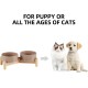 Havniva Ceramic 7.3inch Raised Double Bowls Set with Wooden Stand, Food & Water Bowls for Medium Breed Dogs, Weighted Dog Dishes, Pet Feeder( Light Green) Havniva Ceramic 7.3inch Raised Double Bowls Set with Wooden Stand, Food & Water Bowls for Medium Breed Dogs, Weighted Dog Dishes, Pet Feeder( Light Green)