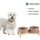 Havniva Ceramic 7.3inch Raised Double Bowls Set with Wooden Stand, Food & Water Bowls for Medium Breed Dogs, Weighted Dog Dishes, Pet Feeder( Light Green) Havniva Ceramic 7.3inch Raised Double Bowls Set with Wooden Stand, Food & Water Bowls for Medium Breed Dogs, Weighted Dog Dishes, Pet Feeder( Light Green)