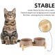 Havniva Ceramic 7.3inch Raised Double Bowls Set with Wooden Stand, Food & Water Bowls for Medium Breed Dogs, Weighted Dog Dishes, Pet Feeder( Light Green) Havniva Ceramic 7.3inch Raised Double Bowls Set with Wooden Stand, Food & Water Bowls for Medium Breed Dogs, Weighted Dog Dishes, Pet Feeder( Light Green)