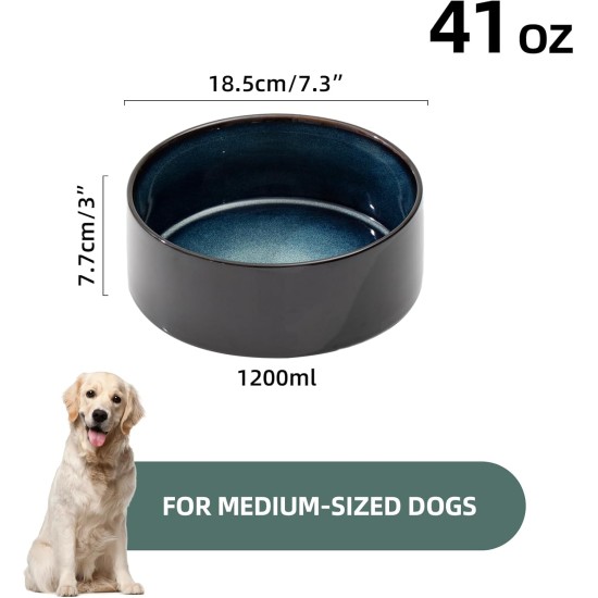 Havniva Ceramic 7.3inch Raised Double Bowls Set with Wooden Stand, Food & Water Bowls for Medium Breed Dogs, Weighted Dog Dishes, Pet Feeder( Light Green) Havniva Ceramic 7.3inch Raised Double Bowls Set with Wooden Stand, Food & Water Bowls for Medium Breed Dogs, Weighted Dog Dishes, Pet Feeder( Light Green)