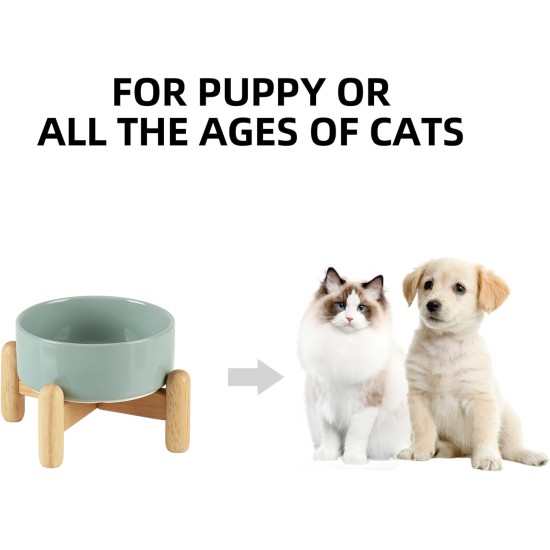 Havniva Ceramic 7.3inch Raised Double Bowls Set with Wooden Stand, Food & Water Bowls for Medium Breed Dogs, Weighted Dog Dishes, Pet Feeder( Light Green) Havniva Ceramic 7.3inch Raised Double Bowls Set with Wooden Stand, Food & Water Bowls for Medium Breed Dogs, Weighted Dog Dishes, Pet Feeder( Light Green)