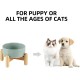 Havniva Ceramic 7.3inch Raised Double Bowls Set with Wooden Stand, Food & Water Bowls for Medium Breed Dogs, Weighted Dog Dishes, Pet Feeder( Light Green) Havniva Ceramic 7.3inch Raised Double Bowls Set with Wooden Stand, Food & Water Bowls for Medium Breed Dogs, Weighted Dog Dishes, Pet Feeder( Light Green)
