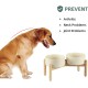 Havniva Ceramic 7.3inch Raised Double Bowls Set with Wooden Stand, Food & Water Bowls for Medium Breed Dogs, Weighted Dog Dishes, Pet Feeder( Light Green) Havniva Ceramic 7.3inch Raised Double Bowls Set with Wooden Stand, Food & Water Bowls for Medium Breed Dogs, Weighted Dog Dishes, Pet Feeder( Light Green)