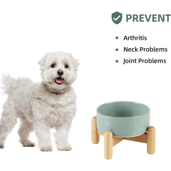 Havniva Ceramic 7.3inch Raised Double Bowls Set with Wooden Stand, Food & Water Bowls for Medium Breed Dogs, Weighted Dog Dishes, Pet Feeder( Light Green) Havniva Ceramic 7.3inch Raised Double Bowls Set with Wooden Stand, Food & Water Bowls for Medium Breed Dogs, Weighted Dog Dishes, Pet Feeder( Light Green)