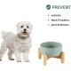 Havniva Ceramic 7.3inch Raised Double Bowls Set with Wooden Stand, Food & Water Bowls for Medium Breed Dogs, Weighted Dog Dishes, Pet Feeder( Light Green) Havniva Ceramic 7.3inch Raised Double Bowls Set with Wooden Stand, Food & Water Bowls for Medium Breed Dogs, Weighted Dog Dishes, Pet Feeder( Light Green)