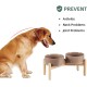 Havniva Ceramic 7.3inch Raised Double Bowls Set with Wooden Stand, Food & Water Bowls for Medium Breed Dogs, Weighted Dog Dishes, Pet Feeder( Light Green) Havniva Ceramic 7.3inch Raised Double Bowls Set with Wooden Stand, Food & Water Bowls for Medium Breed Dogs, Weighted Dog Dishes, Pet Feeder( Light Green)