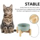 Havniva Ceramic 7.3inch Raised Double Bowls Set with Wooden Stand, Food & Water Bowls for Medium Breed Dogs, Weighted Dog Dishes, Pet Feeder( Light Green) Havniva Ceramic 7.3inch Raised Double Bowls Set with Wooden Stand, Food & Water Bowls for Medium Breed Dogs, Weighted Dog Dishes, Pet Feeder( Light Green)