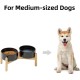 Havniva Ceramic 7.3inch Raised Double Bowls Set with Wooden Stand, Food & Water Bowls for Medium Breed Dogs, Weighted Dog Dishes, Pet Feeder( Light Green) Havniva Ceramic 7.3inch Raised Double Bowls Set with Wooden Stand, Food & Water Bowls for Medium Breed Dogs, Weighted Dog Dishes, Pet Feeder( Light Green)