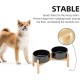 Havniva Ceramic 7.3inch Raised Double Bowls Set with Wooden Stand, Food & Water Bowls for Medium Breed Dogs, Weighted Dog Dishes, Pet Feeder( Light Green) Havniva Ceramic 7.3inch Raised Double Bowls Set with Wooden Stand, Food & Water Bowls for Medium Breed Dogs, Weighted Dog Dishes, Pet Feeder( Light Green)
