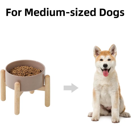 Havniva Ceramic 7.3inch Raised Double Bowls Set with Wooden Stand, Food & Water Bowls for Medium Breed Dogs, Weighted Dog Dishes, Pet Feeder( Light Green) Havniva Ceramic 7.3inch Raised Double Bowls Set with Wooden Stand, Food & Water Bowls for Medium Breed Dogs, Weighted Dog Dishes, Pet Feeder( Light Green)