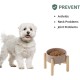 Havniva Ceramic 7.3inch Raised Double Bowls Set with Wooden Stand, Food & Water Bowls for Medium Breed Dogs, Weighted Dog Dishes, Pet Feeder( Light Green) Havniva Ceramic 7.3inch Raised Double Bowls Set with Wooden Stand, Food & Water Bowls for Medium Breed Dogs, Weighted Dog Dishes, Pet Feeder( Light Green)