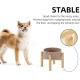 Havniva Ceramic 7.3inch Raised Double Bowls Set with Wooden Stand, Food & Water Bowls for Medium Breed Dogs, Weighted Dog Dishes, Pet Feeder( Light Green) Havniva Ceramic 7.3inch Raised Double Bowls Set with Wooden Stand, Food & Water Bowls for Medium Breed Dogs, Weighted Dog Dishes, Pet Feeder( Light Green)