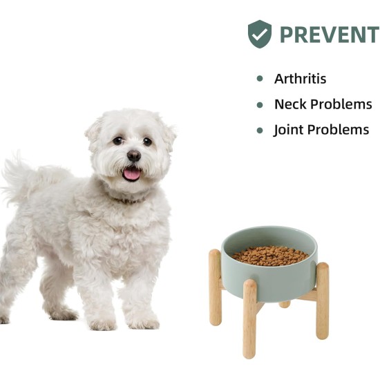 Havniva Ceramic 7.3inch Raised Double Bowls Set with Wooden Stand, Food & Water Bowls for Medium Breed Dogs, Weighted Dog Dishes, Pet Feeder( Light Green) Havniva Ceramic 7.3inch Raised Double Bowls Set with Wooden Stand, Food & Water Bowls for Medium Breed Dogs, Weighted Dog Dishes, Pet Feeder( Light Green)