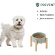 Havniva Ceramic 7.3inch Raised Double Bowls Set with Wooden Stand, Food & Water Bowls for Medium Breed Dogs, Weighted Dog Dishes, Pet Feeder( Light Green) Havniva Ceramic 7.3inch Raised Double Bowls Set with Wooden Stand, Food & Water Bowls for Medium Breed Dogs, Weighted Dog Dishes, Pet Feeder( Light Green)