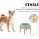 Havniva Ceramic 7.3inch Raised Double Bowls Set with Wooden Stand, Food & Water Bowls for Medium Breed Dogs, Weighted Dog Dishes, Pet Feeder( Light Green) Havniva Ceramic 7.3inch Raised Double Bowls Set with Wooden Stand, Food & Water Bowls for Medium Breed Dogs, Weighted Dog Dishes, Pet Feeder( Light Green)
