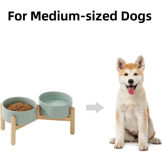 Havniva Ceramic 7.3inch Raised Double Bowls Set with Wooden Stand, Food & Water Bowls for Medium Breed Dogs, Weighted Dog Dishes, Pet Feeder( Light Green) Havniva Ceramic 7.3inch Raised Double Bowls Set with Wooden Stand, Food & Water Bowls for Medium Breed Dogs, Weighted Dog Dishes, Pet Feeder( Light Green)