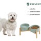 Havniva Ceramic 7.3inch Raised Double Bowls Set with Wooden Stand, Food & Water Bowls for Medium Breed Dogs, Weighted Dog Dishes, Pet Feeder( Light Green) Havniva Ceramic 7.3inch Raised Double Bowls Set with Wooden Stand, Food & Water Bowls for Medium Breed Dogs, Weighted Dog Dishes, Pet Feeder( Light Green)