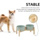 Havniva Ceramic 7.3inch Raised Double Bowls Set with Wooden Stand, Food & Water Bowls for Medium Breed Dogs, Weighted Dog Dishes, Pet Feeder( Light Green) Havniva Ceramic 7.3inch Raised Double Bowls Set with Wooden Stand, Food & Water Bowls for Medium Breed Dogs, Weighted Dog Dishes, Pet Feeder( Light Green)