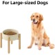 Havniva Ceramic 7.3inch Raised Double Bowls Set with Wooden Stand, Food & Water Bowls for Medium Breed Dogs, Weighted Dog Dishes, Pet Feeder( Light Green) Havniva Ceramic 7.3inch Raised Double Bowls Set with Wooden Stand, Food & Water Bowls for Medium Breed Dogs, Weighted Dog Dishes, Pet Feeder( Light Green)