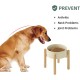 Havniva Ceramic 7.3inch Raised Double Bowls Set with Wooden Stand, Food & Water Bowls for Medium Breed Dogs, Weighted Dog Dishes, Pet Feeder( Light Green) Havniva Ceramic 7.3inch Raised Double Bowls Set with Wooden Stand, Food & Water Bowls for Medium Breed Dogs, Weighted Dog Dishes, Pet Feeder( Light Green)