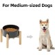 Havniva Ceramic 7.3inch Raised Double Bowls Set with Wooden Stand, Food & Water Bowls for Medium Breed Dogs, Weighted Dog Dishes, Pet Feeder( Light Green) Havniva Ceramic 7.3inch Raised Double Bowls Set with Wooden Stand, Food & Water Bowls for Medium Breed Dogs, Weighted Dog Dishes, Pet Feeder( Light Green)