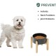 Havniva Ceramic 7.3inch Raised Double Bowls Set with Wooden Stand, Food & Water Bowls for Medium Breed Dogs, Weighted Dog Dishes, Pet Feeder( Light Green) Havniva Ceramic 7.3inch Raised Double Bowls Set with Wooden Stand, Food & Water Bowls for Medium Breed Dogs, Weighted Dog Dishes, Pet Feeder( Light Green)