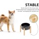 Havniva Ceramic 7.3inch Raised Double Bowls Set with Wooden Stand, Food & Water Bowls for Medium Breed Dogs, Weighted Dog Dishes, Pet Feeder( Light Green) Havniva Ceramic 7.3inch Raised Double Bowls Set with Wooden Stand, Food & Water Bowls for Medium Breed Dogs, Weighted Dog Dishes, Pet Feeder( Light Green)