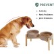 Havniva Ceramic 7.3inch Raised Double Bowls Set with Wooden Stand, Food & Water Bowls for Medium Breed Dogs, Weighted Dog Dishes, Pet Feeder( Light Green) Havniva Ceramic 7.3inch Raised Double Bowls Set with Wooden Stand, Food & Water Bowls for Medium Breed Dogs, Weighted Dog Dishes, Pet Feeder( Light Green)