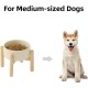 Havniva Ceramic 7.3inch Raised Double Bowls Set with Wooden Stand, Food & Water Bowls for Medium Breed Dogs, Weighted Dog Dishes, Pet Feeder( Light Green) Havniva Ceramic 7.3inch Raised Double Bowls Set with Wooden Stand, Food & Water Bowls for Medium Breed Dogs, Weighted Dog Dishes, Pet Feeder( Light Green)