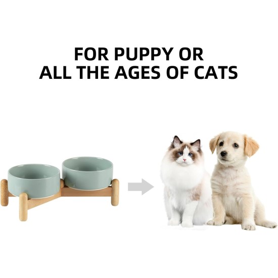 Havniva Ceramic 7.3inch Raised Double Bowls Set with Wooden Stand, Food & Water Bowls for Medium Breed Dogs, Weighted Dog Dishes, Pet Feeder( Light Green) Havniva Ceramic 7.3inch Raised Double Bowls Set with Wooden Stand, Food & Water Bowls for Medium Breed Dogs, Weighted Dog Dishes, Pet Feeder( Light Green)