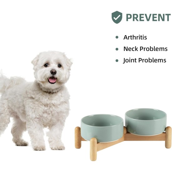 Havniva Ceramic 7.3inch Raised Double Bowls Set with Wooden Stand, Food & Water Bowls for Medium Breed Dogs, Weighted Dog Dishes, Pet Feeder( Light Green) Havniva Ceramic 7.3inch Raised Double Bowls Set with Wooden Stand, Food & Water Bowls for Medium Breed Dogs, Weighted Dog Dishes, Pet Feeder( Light Green)