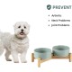 Havniva Ceramic 7.3inch Raised Double Bowls Set with Wooden Stand, Food & Water Bowls for Medium Breed Dogs, Weighted Dog Dishes, Pet Feeder( Light Green) Havniva Ceramic 7.3inch Raised Double Bowls Set with Wooden Stand, Food & Water Bowls for Medium Breed Dogs, Weighted Dog Dishes, Pet Feeder( Light Green)