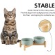 Havniva Ceramic 7.3inch Raised Double Bowls Set with Wooden Stand, Food & Water Bowls for Medium Breed Dogs, Weighted Dog Dishes, Pet Feeder( Light Green) Havniva Ceramic 7.3inch Raised Double Bowls Set with Wooden Stand, Food & Water Bowls for Medium Breed Dogs, Weighted Dog Dishes, Pet Feeder( Light Green)