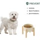 Havniva Ceramic 7.3inch Raised Double Bowls Set with Wooden Stand, Food & Water Bowls for Medium Breed Dogs, Weighted Dog Dishes, Pet Feeder( Light Green) Havniva Ceramic 7.3inch Raised Double Bowls Set with Wooden Stand, Food & Water Bowls for Medium Breed Dogs, Weighted Dog Dishes, Pet Feeder( Light Green)