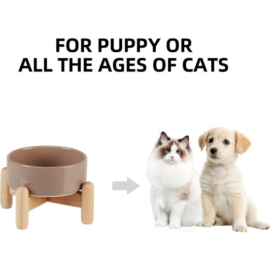 Havniva Ceramic 7.3inch Raised Double Bowls Set with Wooden Stand, Food & Water Bowls for Medium Breed Dogs, Weighted Dog Dishes, Pet Feeder( Light Green) Havniva Ceramic 7.3inch Raised Double Bowls Set with Wooden Stand, Food & Water Bowls for Medium Breed Dogs, Weighted Dog Dishes, Pet Feeder( Light Green)