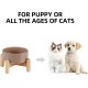 Havniva Ceramic 7.3inch Raised Double Bowls Set with Wooden Stand, Food & Water Bowls for Medium Breed Dogs, Weighted Dog Dishes, Pet Feeder( Light Green) Havniva Ceramic 7.3inch Raised Double Bowls Set with Wooden Stand, Food & Water Bowls for Medium Breed Dogs, Weighted Dog Dishes, Pet Feeder( Light Green)