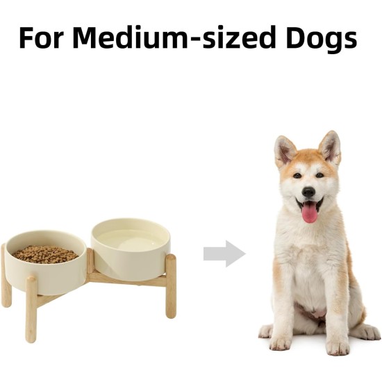 Havniva Ceramic 7.3inch Raised Double Bowls Set with Wooden Stand, Food & Water Bowls for Medium Breed Dogs, Weighted Dog Dishes, Pet Feeder( Light Green) Havniva Ceramic 7.3inch Raised Double Bowls Set with Wooden Stand, Food & Water Bowls for Medium Breed Dogs, Weighted Dog Dishes, Pet Feeder( Light Green)