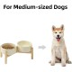 Havniva Ceramic 7.3inch Raised Double Bowls Set with Wooden Stand, Food & Water Bowls for Medium Breed Dogs, Weighted Dog Dishes, Pet Feeder( Light Green) Havniva Ceramic 7.3inch Raised Double Bowls Set with Wooden Stand, Food & Water Bowls for Medium Breed Dogs, Weighted Dog Dishes, Pet Feeder( Light Green)