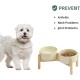 Havniva Ceramic 7.3inch Raised Double Bowls Set with Wooden Stand, Food & Water Bowls for Medium Breed Dogs, Weighted Dog Dishes, Pet Feeder( Light Green) Havniva Ceramic 7.3inch Raised Double Bowls Set with Wooden Stand, Food & Water Bowls for Medium Breed Dogs, Weighted Dog Dishes, Pet Feeder( Light Green)