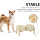 Havniva Ceramic 7.3inch Raised Double Bowls Set with Wooden Stand, Food & Water Bowls for Medium Breed Dogs, Weighted Dog Dishes, Pet Feeder( Light Green) Havniva Ceramic 7.3inch Raised Double Bowls Set with Wooden Stand, Food & Water Bowls for Medium Breed Dogs, Weighted Dog Dishes, Pet Feeder( Light Green)
